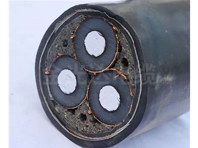 鋁芯高壓電纜 (2)