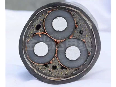 鋁芯高壓電纜 (4)